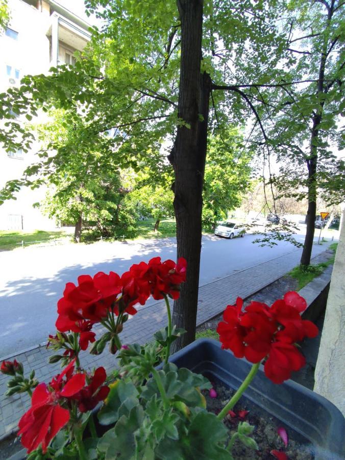Mila Apartment Скопье Экстерьер фото